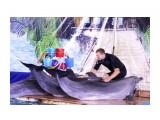 Дельфины..
Фотограф: vikirin

Просмотров: 1195
Комментариев: 0