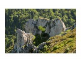 каменное гнездо
Фотограф: Alexsander Semenov

Просмотров: 537
Комментариев: 0