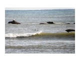 Ларга - пятнистые тюлени

Просмотров: 1205
Комментариев: 0