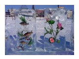 Хабаровск.ледяные фигуры

Просмотров: 5605
Комментариев: 1
