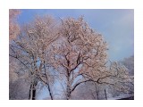Первый снег 29 октября.. Пушистое утро
Фотограф: vikirin

Просмотров: 3118
Комментариев: 0