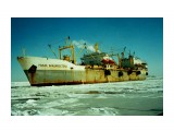 РЫБАК ВЛАДИВОСТОКА.  
Фотограф: 7388PetVladVik

Просмотров: 7770
Комментариев: 0