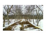 SAM_7446

Просмотров: 3939
Комментариев: 0