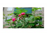 DSC03713

Просмотров: 524
Комментариев: 0