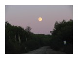 Подъезжаем к дому.. встречает полная луна... 
Фотограф: vikirin

Просмотров: 4177
Комментариев: 0