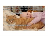 Название: Правда жизни 
Фотоальбом: детки
Категория: Юмор

Просмотров: 1838
Комментариев: 0