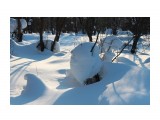 В снежной стране...
Фотограф: vikirin

Просмотров: 2581
Комментариев: 0