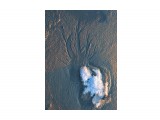 Песчаное дерево
Фотограф: Зинаида Макарова
Мороз рисует узоры на стекле... А талый снег, стекая в лужицу, рисует на морском песке такие интересные картинки.

Просмотров: 5127
Комментариев: 2