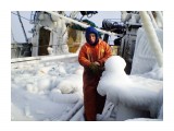 Обросли льдом   

Просмотров: 6542
Комментариев: 