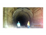DSC05636
тоннель по дороге к вулкану.

Просмотров: 479
Комментариев: 0