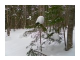 Название: SAM_0592
Фотоальбом: 2011.02.09 Последний мой поход на Сахалине
Категория: Природа

Время съемки/редактирования: 2011:02:09 09:56:40
Фотокамера: SAMSUNG                                 - SAMSUNG ST60 / VLUU ST60 / SAMSUNG TL105 / SAMSUNG ST61
Диафрагма: f/3.2
Выдержка: 1/100
Фокусное расстояние: 49/10
Светочуствительность: 80


Просмотров: 962
Комментариев: 0