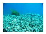 Под водой
Фотограф: Тимофеев И.В.

Просмотров: 650
Комментариев: 0