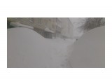 после ночи. бурана. надо идти на работу. Двор
Фотограф: vikirin

Просмотров: 1080
Комментариев: 0