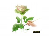  a rose

Просмотров: 2974
Комментариев: 0