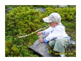 Название: 18
Фотоальбом: 2009.08.09 Пик Чехова
Категория: Природа

Время съемки/редактирования: 2009:08:09 15:00:05
Фотокамера: Samsung Techwin - 
Диафрагма: f/2.8
Выдержка: 1/350
Фокусное расстояние: 74/10
Светочуствительность: 50


Просмотров: 650
Комментариев: 0