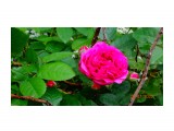 DSC03754

Просмотров: 539
Комментариев: 0