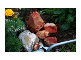 Название: Морские камни в клумбе...
Фотоальбом: 2010 ... 2012 ОГОНЬ КАМНИ и Разное
Категория: Разное
Фотограф: vikirin

Время съемки/редактирования: 2012:07:09 21:48:14
Фотокамера: Canon - Canon EOS Kiss X3
Диафрагма: f/4.0
Выдержка: 1/80
Фокусное расстояние: 55/1



Просмотров: 3014
Комментариев: 0