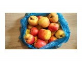 Материковские, настоящие яблоки
Фотограф: tasya

Просмотров: 323
Комментариев: 0