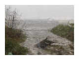 Название: 2015-10-02 12.41.30
Фотоальбом: Холмск 02.10.15
Категория: Море

Время съемки/редактирования: 2015:10:02 12:41:30
Фотокамера: SAMSUNG - GT-S5830i
Диафрагма: f/2.6
Выдержка: 1/166
Фокусное расстояние: 355/100



Просмотров: 1747
Комментариев: 0
