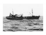 РОЩИНО.  (1983 год, на промысле иваси).
Фотограф: 7388PetVladVik

Просмотров: 4286
Комментариев: 0