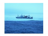 КОКАНД.  
Фотограф: 7388PetVladVik

Просмотров: 5127
Комментариев: 0