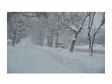 В снежной пелене
Фотограф: VictorV

Просмотров: 557
Комментариев: 0