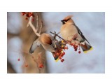 :)
Фотограф: Tsygankov Yuriy

Просмотров: 708
Комментариев: 0
