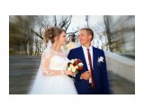 ***

Просмотров: 2334
Комментариев: 