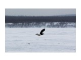 Название: IMG_6255
Фотоальбом: Море. Рыбалка
Категория: Животные
Фотограф: vikirin

Время съемки/редактирования: 2019:03:13 23:48:34
Фотокамера: Canon - Canon EOS Kiss X3
Диафрагма: f/14.0
Выдержка: 1/1600
Фокусное расстояние: 250/1



Просмотров: 1423
Комментариев: 0
