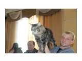 Название: IMG_3027
Фотоальбом: Выставка кошек 06.05.2012
Категория: Животные

Время съемки/редактирования: 2012:05:06 17:31:03
Фотокамера: Canon - Canon EOS 1100D
Диафрагма: f/7.1
Выдержка: 1/200
Фокусное расстояние: 38/1



Просмотров: 491
Комментариев: 0