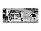 3:0
Фотограф: © marka

Просмотров: 844
Комментариев: 0