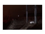 Ночные сьемки с фонарем
Фотограф: vikirin

Просмотров: 1115
Комментариев: 0