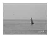 Название: Фото 18
Фотоальбом: Лето, море, игры, солнце
Категория: Пейзаж

Время съемки/редактирования: 2008:06:08 12:35:58
Фотокамера: OLYMPUS IMAGING CORP.   - E-500           
Диафрагма: f/8.0
Выдержка: 1/800
Фокусное расстояние: 81/1
Светочуствительность: 100


Просмотров: 692
Комментариев: 0