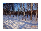DSC00021

Просмотров: 528
Комментариев: 0