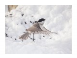 ух, хорошо то как! :)
Фотограф: Tsygankov Yuriy

Просмотров: 320
Комментариев: 0
