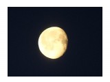 Луна из машины на скорости на RAWе
Фотограф: vikirin

Просмотров: 1513
Комментариев: 0