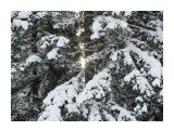 Едва заметный луч неверного солнца
Фотограф: vikirin

Просмотров: 5255
Комментариев: 0
