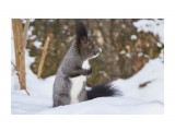 _DSC8638

Просмотров: 92
Комментариев: 