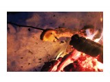 Поджарить кусочек хлеба на костре...
Фотограф: vikirin

Просмотров: 4012
Комментариев: 0