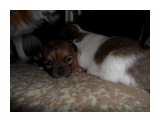 SAM_3816

Просмотров: 506
Комментариев: 