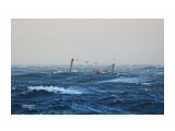Северо-корейское промысловое судно штормует в Японском море.
Фотограф: 7388PetVladVik

Просмотров: 3114
Комментариев: 1