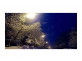 Однажды весной в 6 утра.. пошел снег..
Фотограф: vikirin

Просмотров: 2187
Комментариев: 0