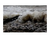 Море штормило и хлестало волнами
Фотограф: vikirin

Просмотров: 1337
Комментариев: 0