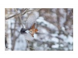 :))
Фотограф: VictorV

Просмотров: 582
Комментариев: 0