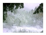 сотовый сошел с ума

Просмотров: 1575
Комментариев: 