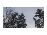 Зима на перевале..
Фотограф: vikirin

Просмотров: 1382
Комментариев: 0