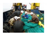 Ремонт трала  
Фотограф: 7388PetVladVik

Просмотров: 6335
Комментариев: 0