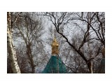 Когда растаял иней.. почки ждут тепла..
Фотограф: vikirin

Просмотров: 3167
Комментариев: 0