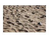 Песок накалился.. весь берег как печка...
Фотограф: vikirin

Просмотров: 2007
Комментариев: 0