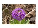Фото 78

Просмотров: 1830
Комментариев: 0